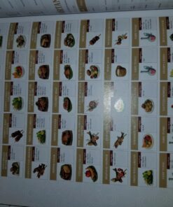 The Legend of Zelda: Breath of the Wild: The Complete Official Guide Collector's Edition Hardcover 38 71DHHcpSVwL