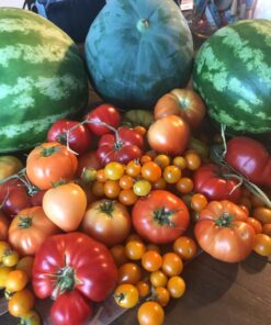 Heirloom Vegetable Seeds Non GMO Survival Seed Kit - Part of Our Legacy and Heritage - 50 Varieties 100% Naturally Grown- Best for Gardeners Who Raise Their Own Healthy Food 1 45 71DIHcl2RL