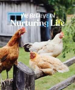 Manna Pro 0502035355 Ready-to-Use Poultry Protector for Birds, 16-Ounce 10 71DIZgEwcL