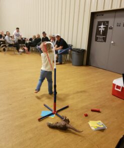 Franklin Sports Grow-with-Me Kids Baseball Batting Tee + Stand Set for Youth + Toddlers - Youth Baseball, Softball + Teeball Hitting Tee Set for Boys + Girls Grow With Me Tee - MLB Baseball 44 71DIg0itsbL