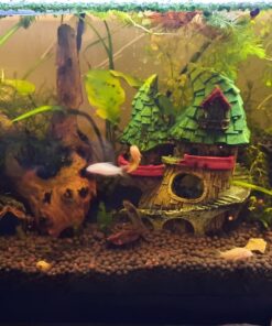 Seachem Indoor Purigen Organic Filtration Resin - Fresh and Saltwater 100 ml 33 71DKRLsgQ4L