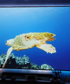 Dangbei Mars Pro 4K Projector, DLP Projector with Android 4GB+128G, 2x10W HiFi Speakers, Auto Focus, Keystone HDR10 Home Theater 37 71DNBwhnvNL