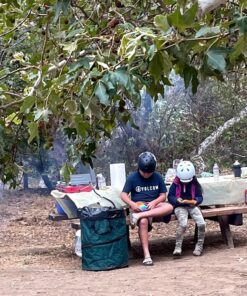 Coghlan's Deluxe Pop-Up Trash Can, Spring-loaded Collapsible Garbage Can for Camping, 24 x 19 inches, Heavy-Duty 600D Polyester, 29.5 Gallon, Green 18 71DQIRcfCwL