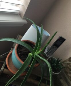 NETGEAR Orbi Tri-Band Whole Home Mesh WiFi System with 2.2Gbps Speed (RBK23) - Discontinued by Manufacturer 31 71DRz0kVbqL