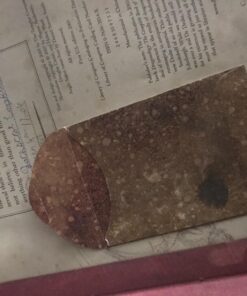 The Dragonology Handbook: A Practical Course in Dragons (Ologies) Hardcover 21 71DSFYqOvL