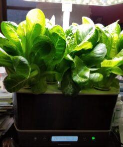 AeroGarden Mixed Romaine Lettuce Seed Pod Kit (6-pod) 6-pod 35 71DSKArsRwL