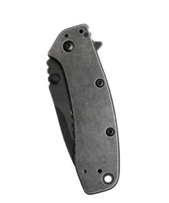 Kershaw XL Cryo II Pocket Knife, 3.25" 8Cr13MoV Steel Titanium-Coated Blade, Assisted Everyday Carry Pocket Knife 1556BW 40 71DUgb3YBeL