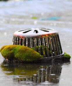 Nikon 200-500mm f/5.6E ED AF-S VR Zoom NIKKOR Lens- Bundle with 95mm Filter Kit, Flex Lens Shade, Cleaning Kit, Cap Leash, Software Package 32 71DWULDH36L