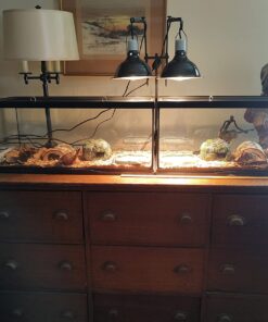 BN-LINK 8 Outlet Surge Protector with Mechanical Timer (4 Outlets Timed, 4 Outlets Always On) - White 39 71DYuIEe6SL