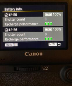 STK LP-E6 Battery for Canon LP-E6N LPE6 Promaster LP-E6NH EOS R R5 R6 R7 5D Mark II III and IV 90D 70D 5Ds 6D 5Ds 80D 7D 60D, 5Ds MKii, MKii MKiii MKiv, 5D4 LPE6N LPE6NH, LP E6 E6N E6NH Accessories 47 71Da0F2skXL