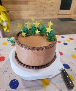 Evergreen Trees for Cake and Cupcake Decorating (24-Pack) 23 71DakbuDWXL