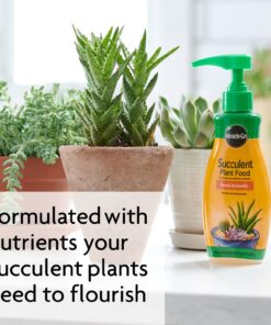 Miracle-Gro Succulent Plant Food, 8 Oz., For Succulents including Cacti, Jade, And Aloe, 1 Pack 38 71Dc4DFnsOL