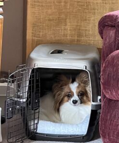 Petmate Compass Fashion Kennel Cat and Dog Kennel, 10-20 lb., Pearl White/Black, Made in USA 20.0"L x 12.5"W x 13.5"H 35 71DcRbc5STL