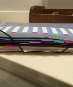 Pendaflex PileSmart Project Sorter, Letter Size (50995) 18 71DdkgLZuTL