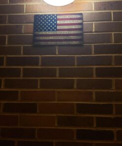 Rogue River Tactical USA American Flag Metal Tin Sign, 12x8 Inch, Wall Decor Man Cave Bar US Pledge of Allegiance 18 71DiPyjouL