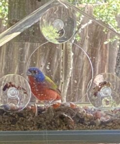 Nature Gear Window Bird Feeder - Refillable Sliding Tray - Weather Proof - Snow and Squirrel Resistant - Drains Rain Water - See Songbirds from Home! (House Style) (House Model) House 33 71Dj vSXwsL