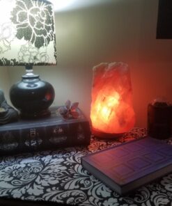 DII Cotton Dish Towel Set Damask Print, 18x28, Black, 2 Count 18x28" 28 71DkmT9CdCL