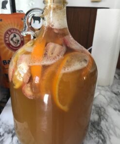 FastRack Stopper/Airlock 1 Gallon Glass Fermenter/Jug, Clear 1 Count (Pack of 1) 38 71DlTzJdddL