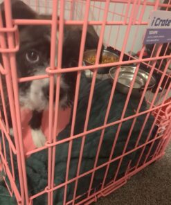 MidWest Homes for Pets Snap'y Fit Food Bowl | Pet Bowl, 20 oz. (2.5 cups) | Dog Bowl Easily Affixes to a Metal Dog Crate, Cat Cage or Bird Cage | Pet Bowl Measures 6L x 6W x 2H Inches,Silver 20 Ounces (2.5 cups) 47 71DpvuQuWL