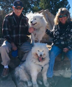 Pet MD - Canine Tabs Plus 365 Count - Advanced Multivitamins for Dogs - Natural Daily Vitamin and Mineral Nutritional Supplement - Liver Flavored Chewable Tablets 24 71DqfL6x EL