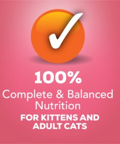 Purina Friskies Wet Cat Food Pate - 5.5 oz. Can Salmon Dinner 5.5 Ounce (Pack of 24) 25 71DqnEjpduL