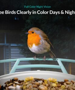 NETVUE Birdfy AI - Smart Bird Feeder with Camera + Solar Panel, Free AI Forever, Auto Capture & Identify 6000+ Bird Species, Bird Videos for Birdwatching, Ideal Gift for Bird Lover Solar Blue 29 71DrHSZtbL 2