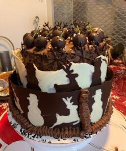 Picowe Cake Collars 4 x 394inch, Acetate Rolls, Clear Cake Strips, Transparent Cake Rolls, Mousse Cake Acetate Sheets for Chocolate Mousse Baking, Cake Decorating 34 71Dt2i8QAfL