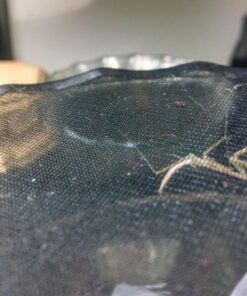 Josh's Frogs The Best MELANOGASTER Fruit Fly Food Media (1.5 lbs/1.35 Quarts - Makes 10 Fruit Fly Cultures) 1.35 Quarts 23 71DtsJBU1RL