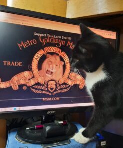 Hill's Pet Nutrition Science Diet Dry Cat Food, Adult, Chicken Recipe, 4 lb. Bag 42 71DuS tLXjL