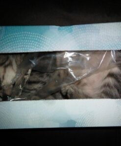 Kleenex Ultra Soft Facial Tissues, Medium Count Flat, 170 ct, 6 Pack. Designs May Vary 37 71DvHn1JlqL