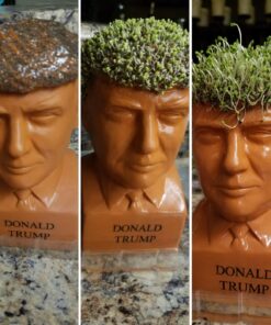 Chia Pet Donald Trump President with Seed Pack, (8" x 4.5" x 7.3") Decorative Pottery Planter, Easy to Do and Fun to Grow, Novelty Gift, Perfect for Any Occasion 43 71DvNeD3WkL