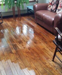 Scott's Liquid Gold Scott%27S ScottPercent27S+Liquid+Gold+Floor+Restore+Gloss, 24 Fl Oz (Pack of 1) 50 71DwgEMxP2L