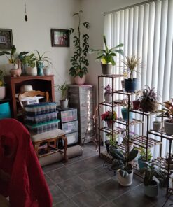 SUMMIT CHEMICAL CO 117-6 30OZ Mosquito Bits 36 71DxJa5IbuL