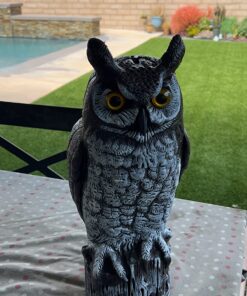 Dalen Fake Owl Decoy to Scare Birds Away from Gardens, Rooftops, and Patios - Scarecrow Provides Chemical-Free Pest Control - Safe and Humane, 16" Great Horned Owl 32 71Dy3dKnzpL
