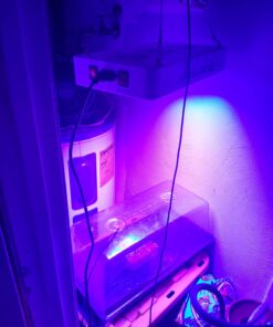 KingLED 2023 Newest 1500w LED Grow Lights with Samsung LM301B LEDs 4 * 4 ft Coverage Full Spectrum Grow Lights for Indoor Hydroponic Plants Greenhouse Growing Lamps Veg Bloom Daul Mode 35 71Dy8Eg9mFL