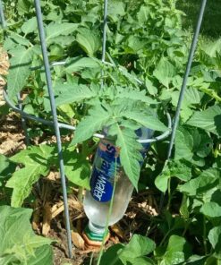 Recycle a Plastic Bottle Stake Set with Adapter 1 26 71Dz0UN5nWL