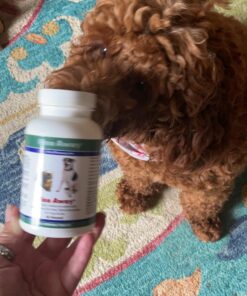 Flea Away All Natural Supplement for Fleas, Ticks, and Mosquitos Prevention for Dogs and Cats, 100 Chewable Treat Tablets, Single 1 Single 38 71E 1bhtGkL