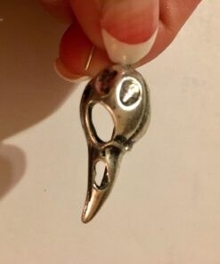 RechicGu Crow Viking Odin Bird Raven Skull Dangle Earrings Skeleton Death Devil Goth Punk Emo Steampunk Vintage Silver 25 71E 9eyi 6L