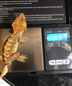 AMERICAN WEIGH SCALES Series Digital Pocket Weight Scale 1kg x 0.1g, (Black), AWS-1KG-BLK 1000G x 0.1G 44 71E KFKh34L