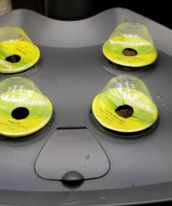 AeroGarden Classic 6 with Gourmet Herb Seed Pod Kit 54 71E0DwQMoL