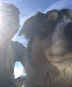 Go Nutrients Intestinal Edge Gut Detox Cleanse for Humans: Enhance Digestive Health, Boost Energy, Clear Skin with Black Walnut, Wormwood, Clove & Gentian Root for Adults & Kids 2oz Liquid Drops 30 71E0knWnRNL