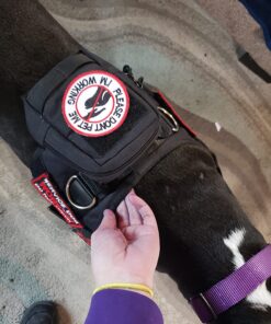 EXPAWLORER Upgraded No Pull Dog Harness with Leash Set - Adjustable Reflective Dog Vest Harness with 3 Drings, Easy Control Handle, Hook and Loop Panel, for Medium Large Dogs Black X-Large 21 71E1Bj68cPL