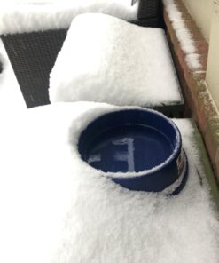 K&H Pet Products Thermal-Bowl Outdoor Heated Dog Bowl Blue 96 Ounces 41 71E1zuDwZFL