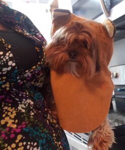 Rubie's Star Wars Ewok Pet Costume, Small S (Neck: 12", Girth: 17", Back: 11") 1 38 71E5yv50lzL