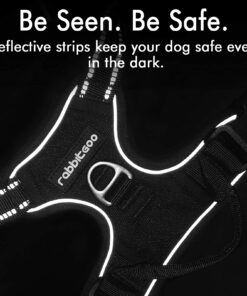 rabbitgoo Dog Harness, No-Pull Pet Harness with 2 Leash Clips, Adjustable Soft Padded Dog Vest, Reflective No-Choke Pet Oxford Vest with Easy Control Handle for Large Dogs, Black, XL X-Large 36 71E69rDKGqS