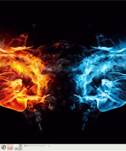 Alternative view of The QUICK FIX PC Operating System, Boots any Computer even without a hard drive