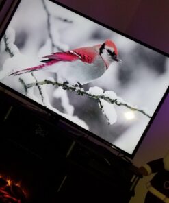 Vansky Led Strip Lights, Bias Lighting for 40-60 inch TV 6.6ft RGB USB Powered LED Light Strip with Remote,TV Backlight Kit for Flat Screen TV,PC 60 71E8U5RNVML