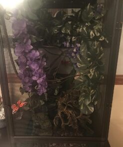 Zoo Med ReptiBreeze Open Air Screen Cage, Extra Large, 24 x 24 x 48-Inches 37 71E8qao9oIL