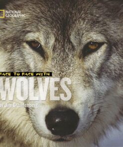Face to Face with Wolves (Face to Face with Animals)