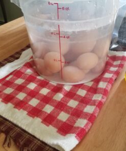 Cambro RFS6PP190 Camwear 6-Quart Round Food Storage Container, Polypropylene, Translucent, NSF 11 71E9HFe8aRL